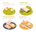 Chicken Farm Compositions Set Royalty Free Stock Photo
