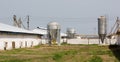 Chicken farm with four grain storage silos Royalty Free Stock Photo