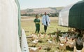 Chicken, farm and vet nurse with doctor for health inspection of eggs. Poultry, agriculture and veterinarian medical Royalty Free Stock Photo