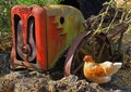 Chicken in farm yard with old farm machinery. Royalty Free Stock Photo