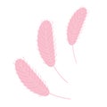 Chicken feather. Design for Easter, Christmas