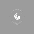 Chicken feather. Logo template. White feather on gray background