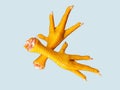 Chicken feet claws paws hen foot raw food ingredient feng zhua, phoenix claws, ji zhua, pe galinha, patas pollo photo Royalty Free Stock Photo