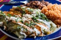 Chicken Filled Green Enchiladas, Traditional Mexican Meal Royalty Free Stock Photo