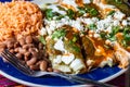 Chicken Filled Green Enchiladas, Traditional Mexican Meal