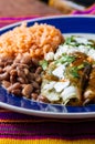 Chicken Filled Green Enchiladas, Traditional Mexican Meal Royalty Free Stock Photo