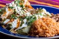 Chicken Filled Green Enchiladas, Traditional Mexican Meal Royalty Free Stock Photo