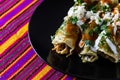 Chicken Filled Green Enchiladas, Traditional Mexican Meal Royalty Free Stock Photo