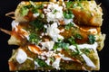 Chicken Filled Green Enchiladas, Traditional Mexican Meal Royalty Free Stock Photo