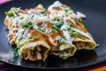 Chicken Filled Green Enchiladas, Traditional Mexican Meal Royalty Free Stock Photo