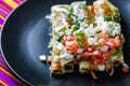 Chicken Filled Green Enchiladas, Traditional Mexican Meal Royalty Free Stock Photo