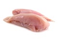 Chicken fillet Royalty Free Stock Photo