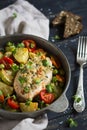 Chicken fillet with bread crumbs and baked vegetables in a vintage scourage Royalty Free Stock Photo