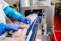 Chicken fillet production line.A modern plant.Factory production food from meat. Production line with packaging and Royalty Free Stock Photo