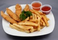 Chicken Fingers Combo Royalty Free Stock Photo