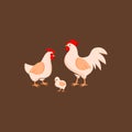 Chicken Flat Illustration Poultry and Farm Animal Vector Royalty Free Stock Photo