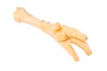 Chicken foot