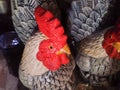Chicken form Wooden Coloring