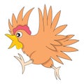 chicken fowl animal is running scared