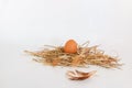 chicken fresh eggs in the straw nest. Royalty Free Stock Photo