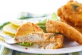 Chicken fried in batter with dill Royalty Free Stock Photo