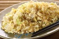 Chicken fried rice Royalty Free Stock Photo