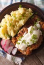 Chicken fried steak with mashed potatoes closeup vertical top vi Royalty Free Stock Photo