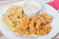 Chicken and fries with sour cream dip Royalty Free Stock Photo