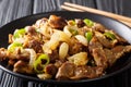 Chicken Gizzard Stir-fry - Dak Ddong Jjip is a Korean dish close Royalty Free Stock Photo