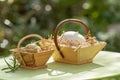 Chicken and goose eggs in mini baskets