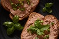 Chicken or goose liver pate sandwiches on a plate Royalty Free Stock Photo