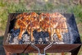 Chicken grilled on a charcoal barbeque brazier