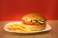 Chicken hamburger with french fries Royalty Free Stock Photo