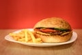 Chicken hamburger with french fries Royalty Free Stock Photo
