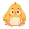 Chicken Hand drawn cute cartoon illustration small chick. Flat doodle style. Isolated on background. Royalty Free Stock Photo