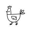 Chicken hand drawn outline doodle icon. Vector sketch illustration for print, web, mobile and infographics Royalty Free Stock Photo