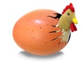 Chicken hatching from egg Royalty Free Stock Photo