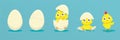 Chicken hatching from the egg. Cartoon baby chick birthday step-by-step process. Funny and educational illustration for kids Royalty Free Stock Photo