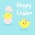 Chicken hatching from the egg and cute fluffy yellow chick Royalty Free Stock Photo