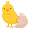 Chicken hatching icon cartoon vector. Chick baby Royalty Free Stock Photo