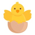 Chicken hatching icon cartoon vector. Egg baby Royalty Free Stock Photo