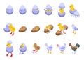 Chicken hatching icons set isometric vector. Chicken egg Royalty Free Stock Photo