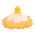 Chicken hatching time icon cartoon vector. Chick baby Royalty Free Stock Photo