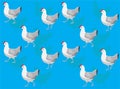 Chicken Hen Ameraucana Animation Seamless Wallpaper Background