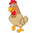 Chicken hen cute posing Royalty Free Stock Photo