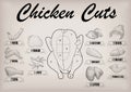 Chicken hen cutting meat scheme parts carcass brisket neck wing