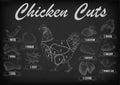 Chicken hen cutting meat scheme parts carcass brisket neck wing