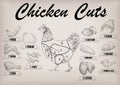 Chicken hen cutting meat scheme parts carcass brisket neck wing