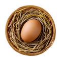 Chicken or hen egg on straw in wicker basket Royalty Free Stock Photo