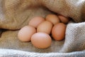 Chicken/Hen eggs in sackcloth.